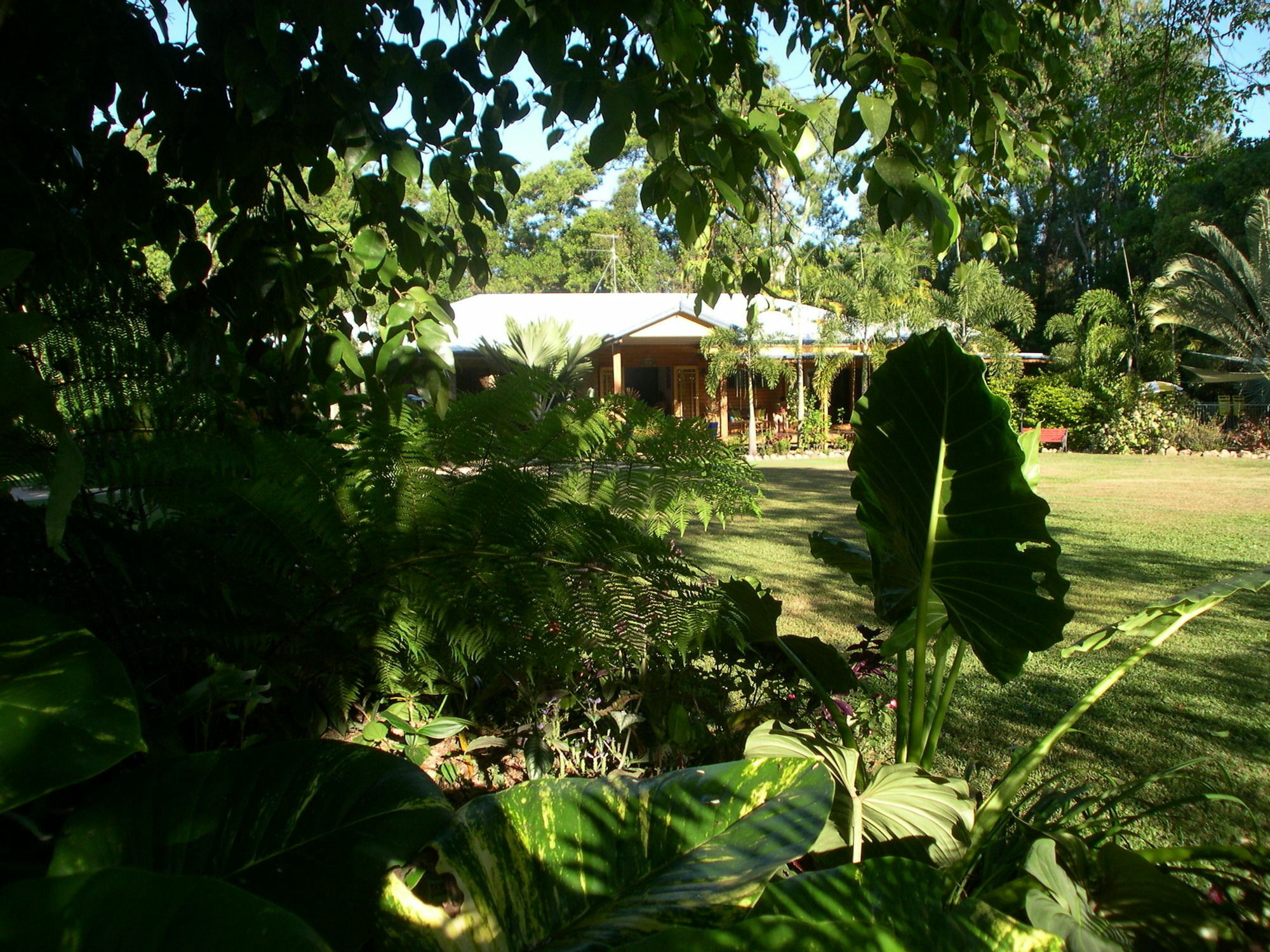 Hibiscus Lodge Bed & Breakfast Wongaling Beach Exterior foto